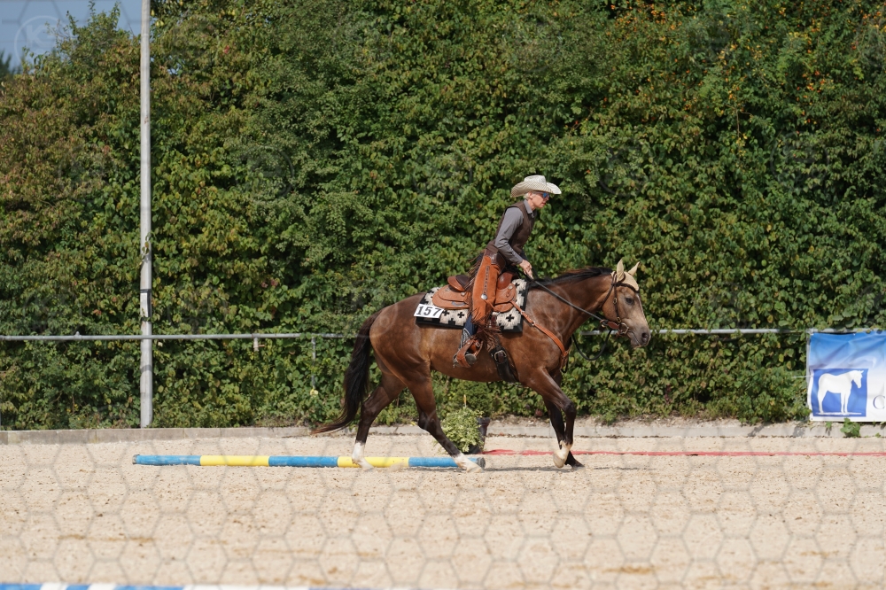s_A9_01345.jpg
